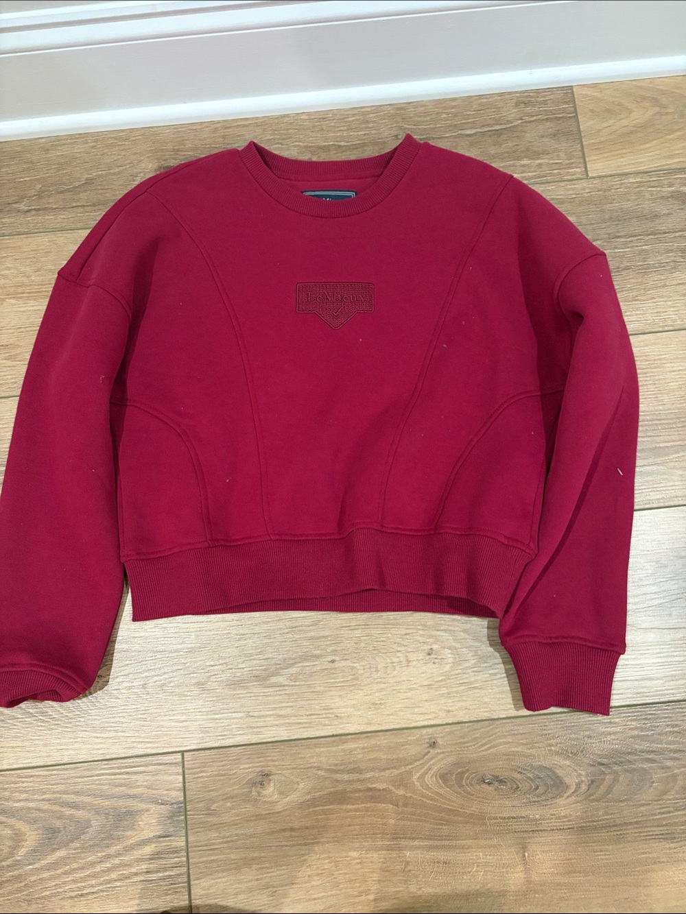 Kids Red Crewneck Sweatshirt Jacket - Lemieux